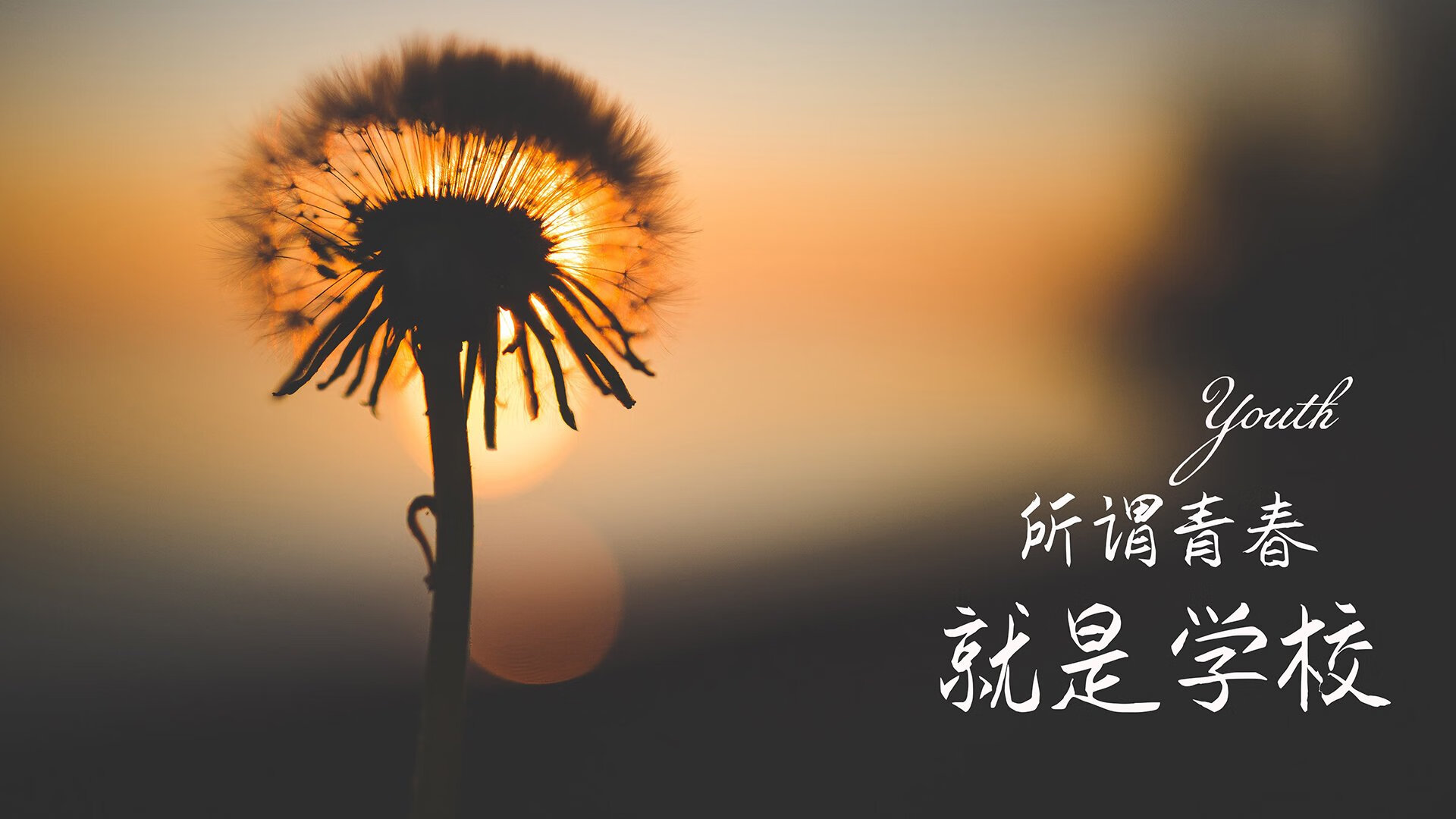 史上“最炫”助攻：那些让人脸爆炸的创意传球，传球动画
