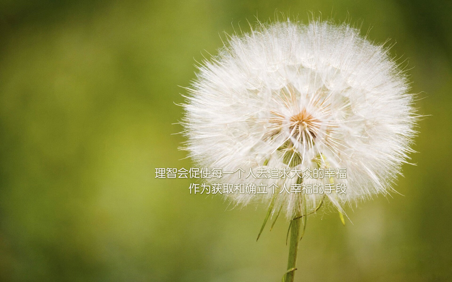 球员的欧冠梦想：从青年到巨星的蜕变史，欧冠足球运动员