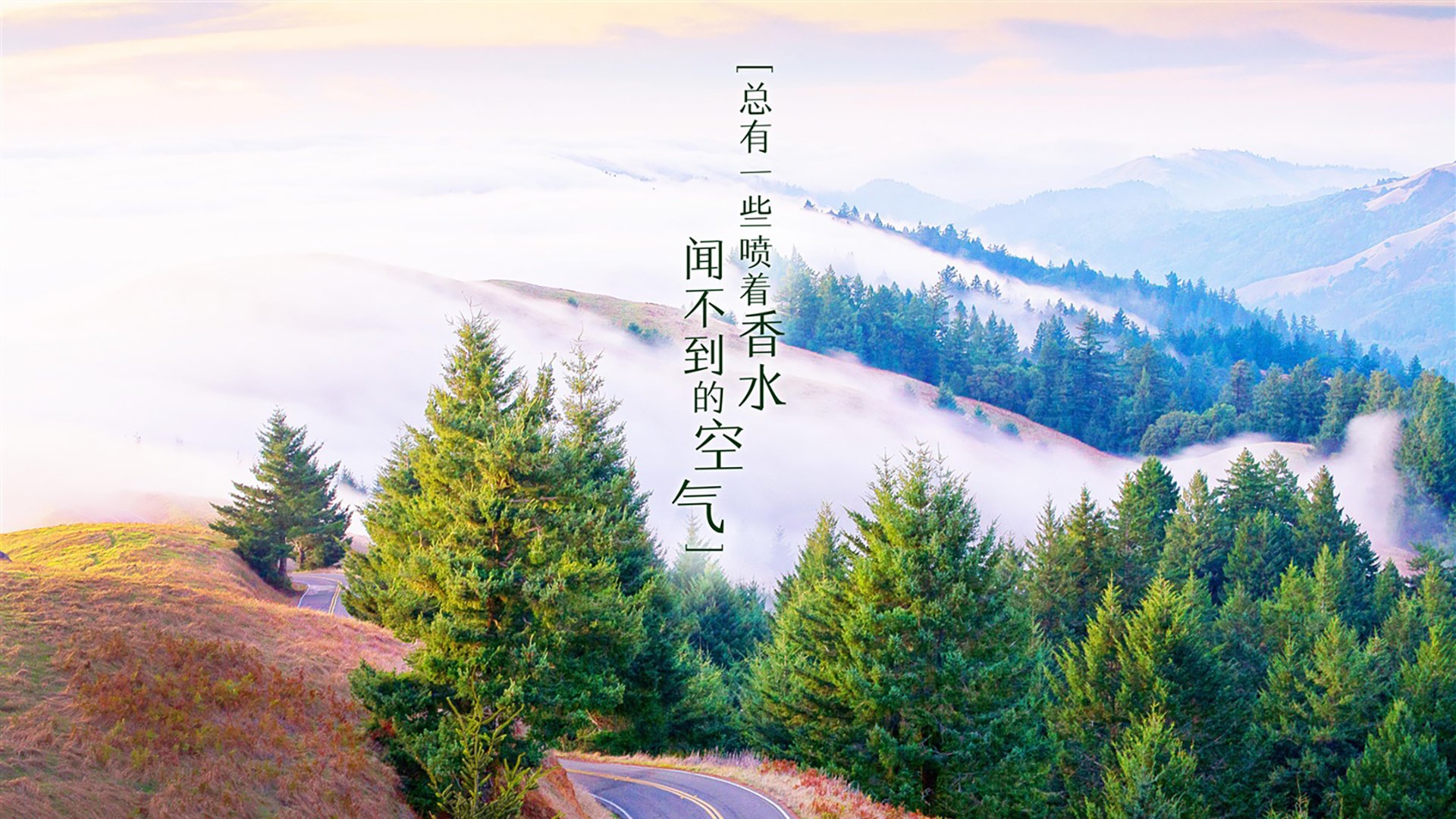 关键时刻球员火力全开，决胜负于一次出击，效力过热火的球员
