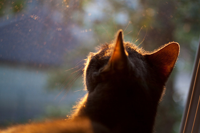 世俱杯决赛-中国男篮优化阵容轮转保持整体强度，中国男篮首次人员调整
