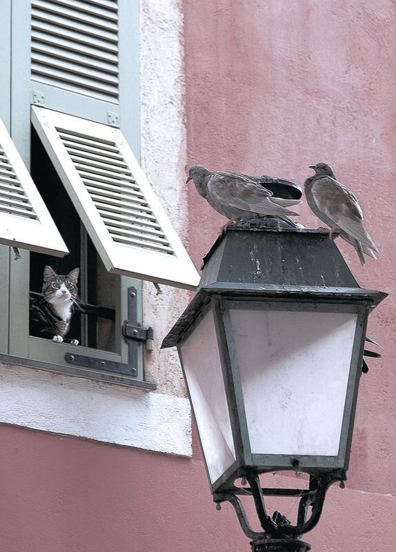 2025足球世俱杯官网-国家队长期不集训导致协作能力下降